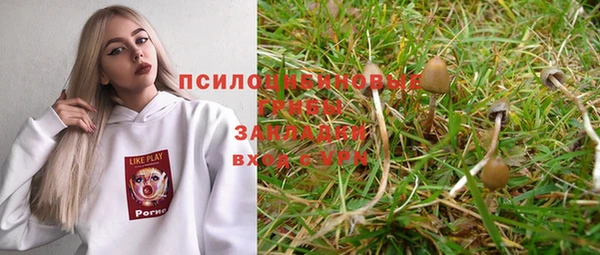 круглые Карпинск
